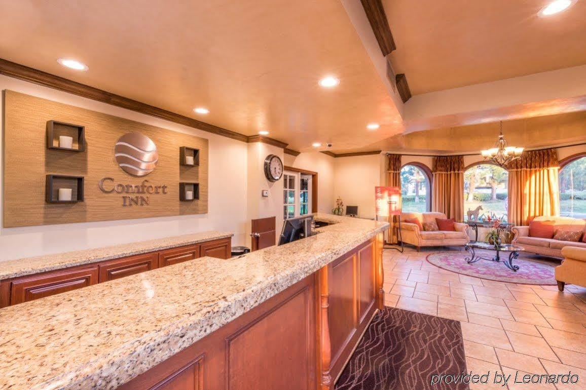 Tiller House, Laguna Hills, A Tribute Portfolio Hotel Eksteriør billede